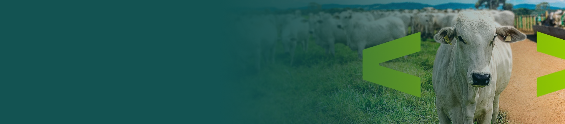 Blog - Banner